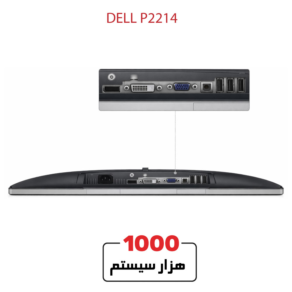 DELL-P22141