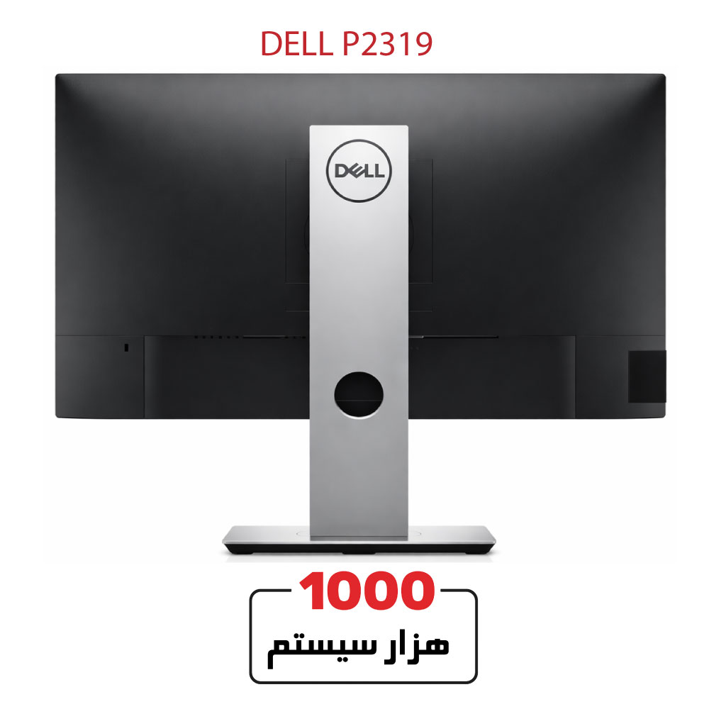 DELL-P2319