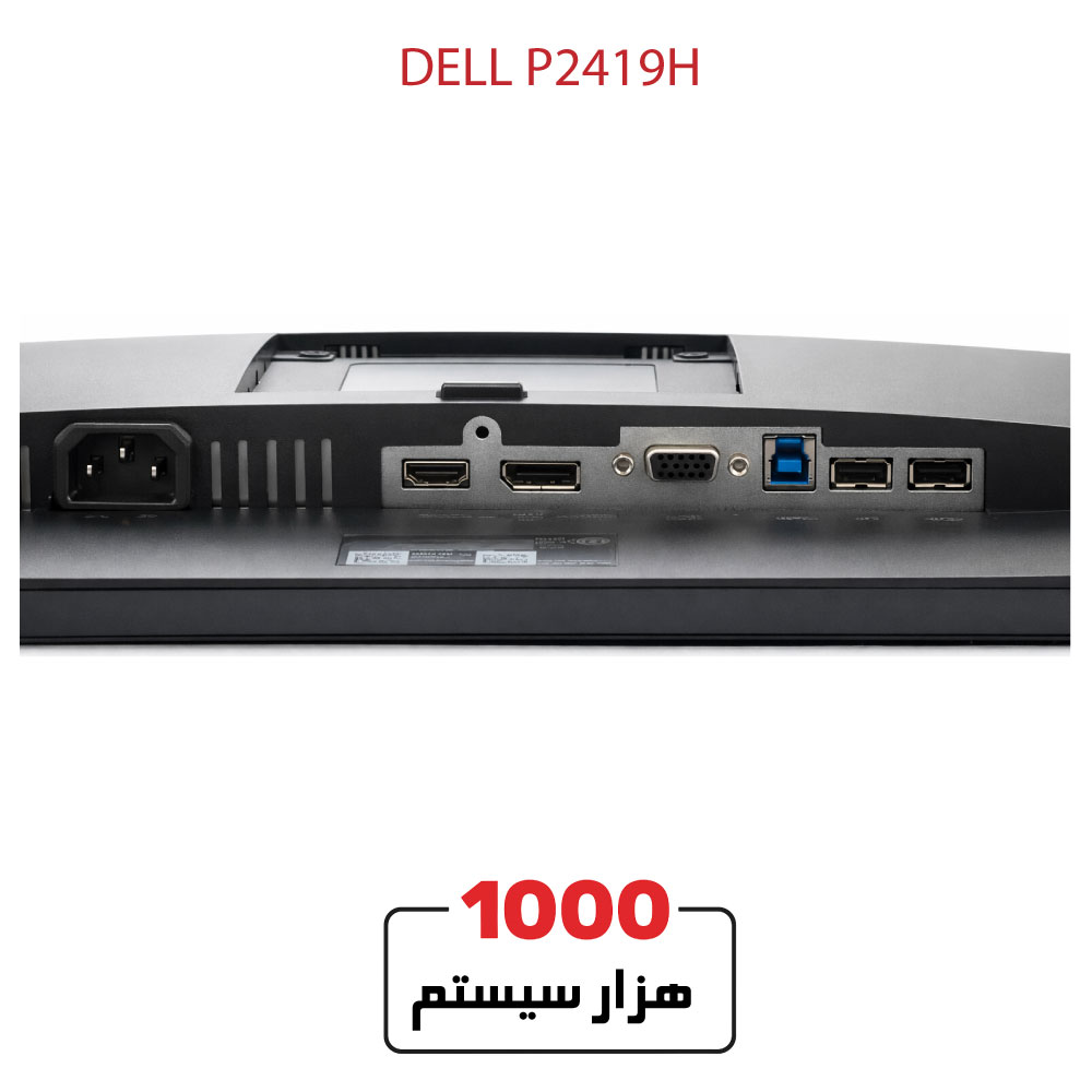 DELL-P2419H