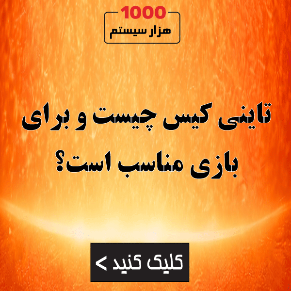تاینی کیس چیست و برای بازی مناسب است؟